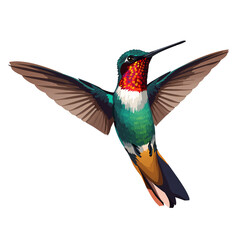 Obraz premium Vibrant Hummingbird Illustration on Transparent Backdrop, Delicate Wings Extended, Isolated