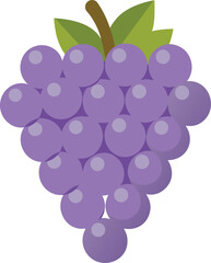 Flat Vector Bunch of Purple Grapes