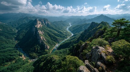 beautiful on a travel in korea