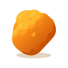 vector illustration of an orange fruit