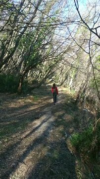 A female tourist, filmed from behind, walking along a path in an autumn forest. Active recreation, nature exploration and ecotourism in Montenegro: visiting Mount Vrmac. Healthy lifestyle concept