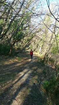 A female tourist walks through the forest an autumn day. Hiking trails in Vrmac Nature Park, Montenegro. Concepts of active lifestyle, adventures in nature, slow travel, ecotourism in the Bay of Kotor