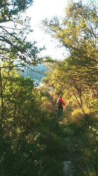 A tourist with a backpack and trekking poles descends from a mountain through an autumn forest. Hiking, outdoor recreation and ecotourism on Mount Vrmac, Montenegro. Scenic travel and active lifestyle