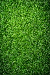 Close-up view of vibrant green grass (1)