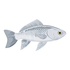 Obraz premium A realistic gray fish with detailed scales