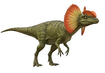 Obraz premium Realistic 3D rendering of a Dilophosaurus dinosaur with colorful neck frill, full body on a white background.