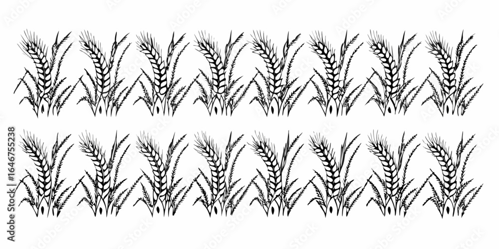 Poster vector illustration of a repeating pattern featuring wheat stalks in a black and white drawing style