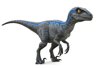 Fototapeta premium Realistic 3D rendering of a blue Velociraptor dinosaur, full body on a white background.