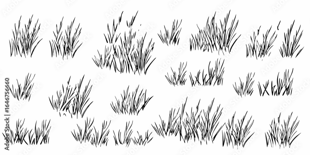 Poster vector illustration showing multiple tufts of grass in varying sizes and densities in black and whit