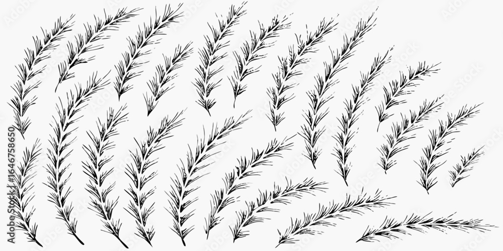 Poster vector illustration of multiple black and white stylized branches with short needles arranged random