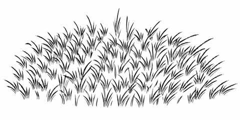 Vector illustration of a dense patch of hand drawn grass blades in black and white on a plain background