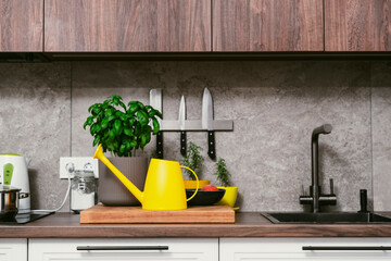 Spicy herbs in pots with watering can on cozy modern kitchen with cooking utensils, pots, cutting...