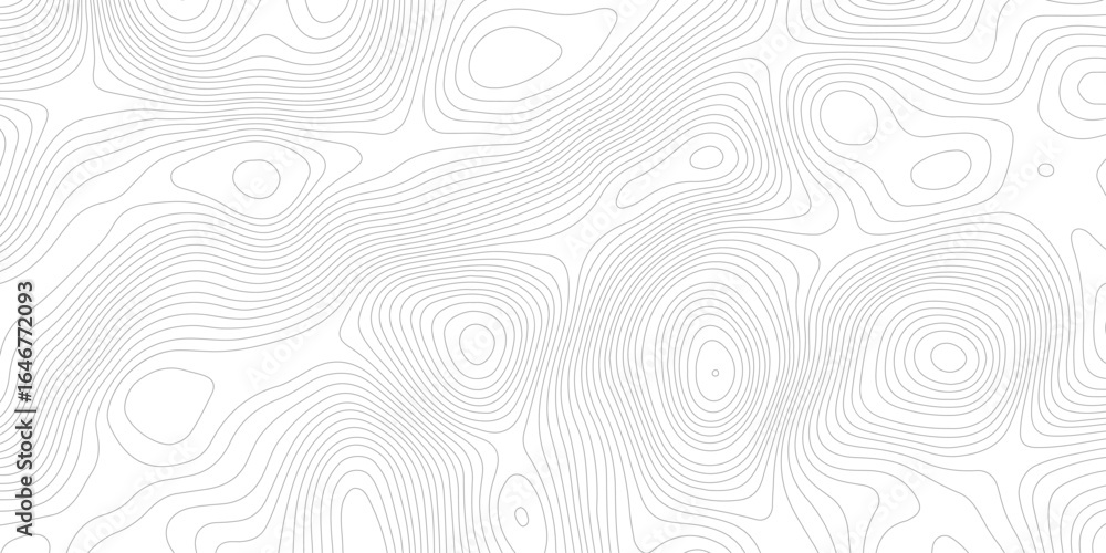 Poster abstract topography gray and white stylized height contour seamless line pattern topographic map dis