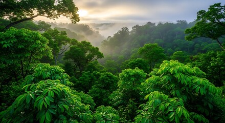 Lush canopy of emerald rainforest teeming with vibrant life and mystical atmosphere
