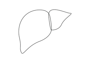 Continuous one line drawing art human liver vector illustration