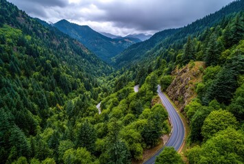 Winding road through lush green mountains