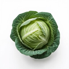 Fototapeta premium A head of green cabbage covered in small water droplets