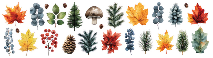 Pine fir tree branches, leaves and barriers Autumn forest watercolor elements