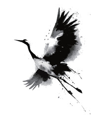 Obraz premium A black and white bird with a long neck flying in the air. The bird is in the middle of the image