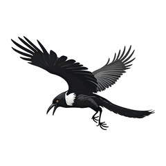 Fototapeta premium A Majestic Magpie Soaring Through the Air
