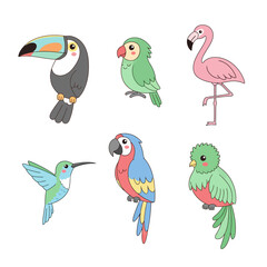 Fototapeta premium Cute Tropical Birds Illustration Set