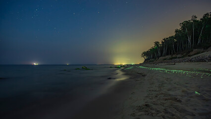 Night Landscape in the Baltic