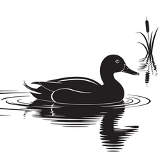 Black and White Duck Vector Illustration with Water Reflection and Reed Plant