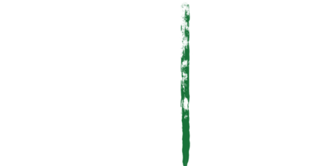 A dark background with a vertical green line on the right side of the image with some texture visible