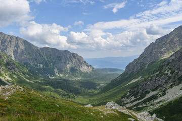 Obraz premium Green Mountain Valley with Rocky Slopes in Summer, High Tatras, Slovakia
