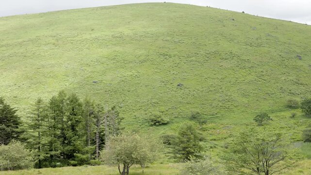 Plateau and Mountain Hills above the Tree Line as Clouds Shift  |  Kirigamine Plateau, Nagano, Japan