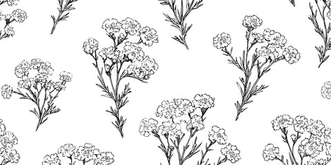 PATRÓN BOTÁNICO ELEGANTE CON DELGADOS BOCETOS LINEALES DE FLORES