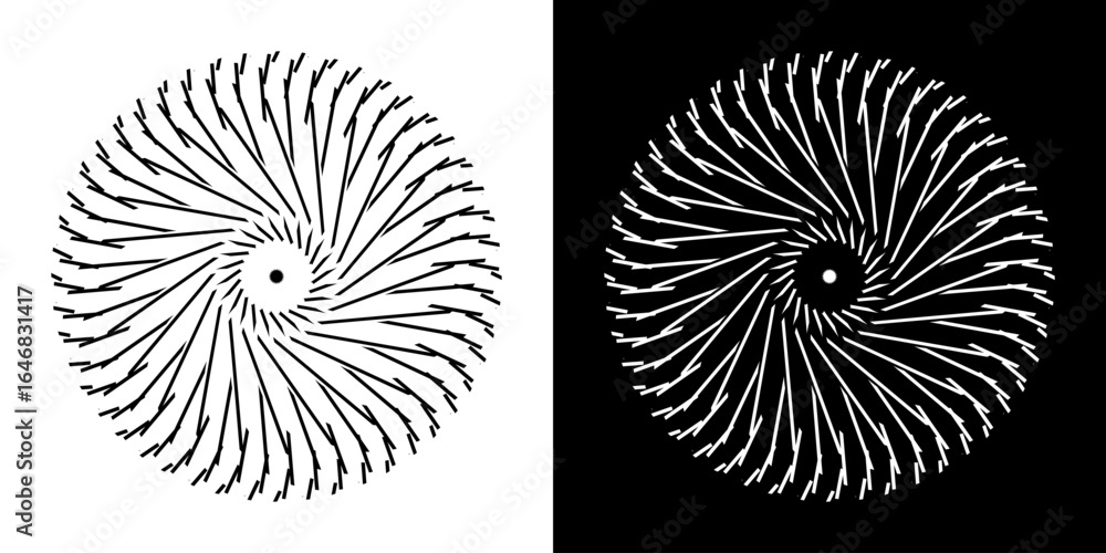 Poster Abstract background with abstract line pattern in circles. Spiral art design as a logo or icon. A black figure on a white background and the same white figure on a black side. Mandala design with line