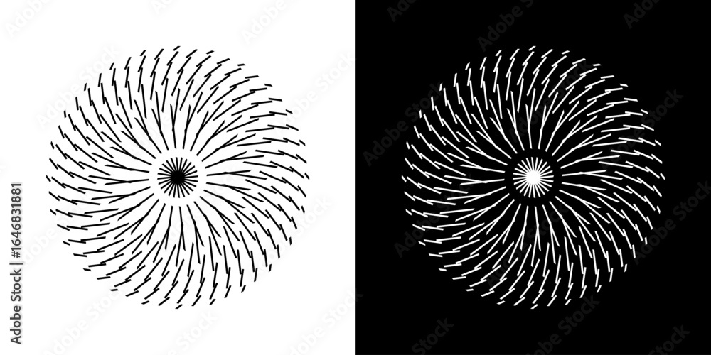 Poster Abstract background with abstract line pattern in circles. Spiral art design as a logo or icon. A black figure on a white background and the same white figure on a black side. Mandala design with line