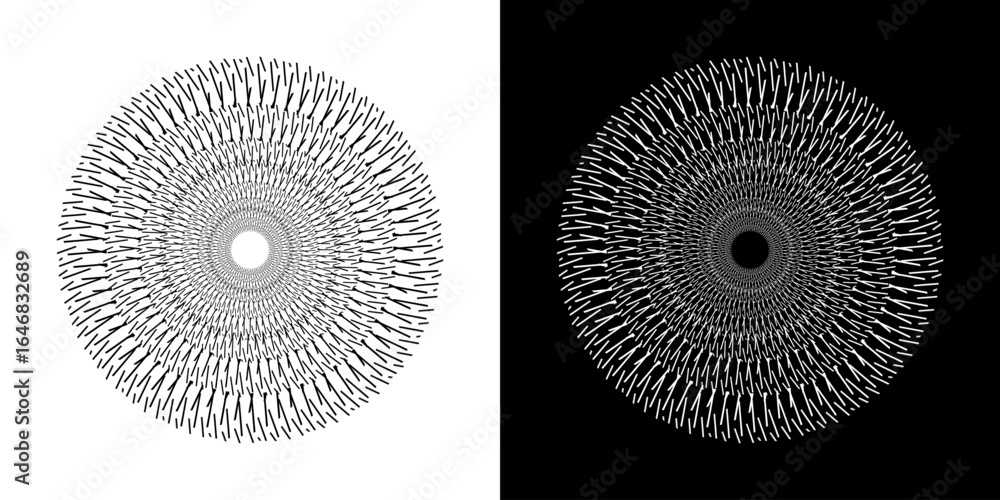 Poster Abstract background with abstract line pattern in circles. Spiral art design as a logo or icon. A black figure on a white background and the same white figure on a black side. Mandala design with line