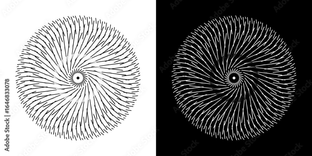 Poster Abstract background with abstract line pattern in circles. Spiral art design as a logo or icon. A black figure on a white background and the same white figure on a black side. Mandala design with line