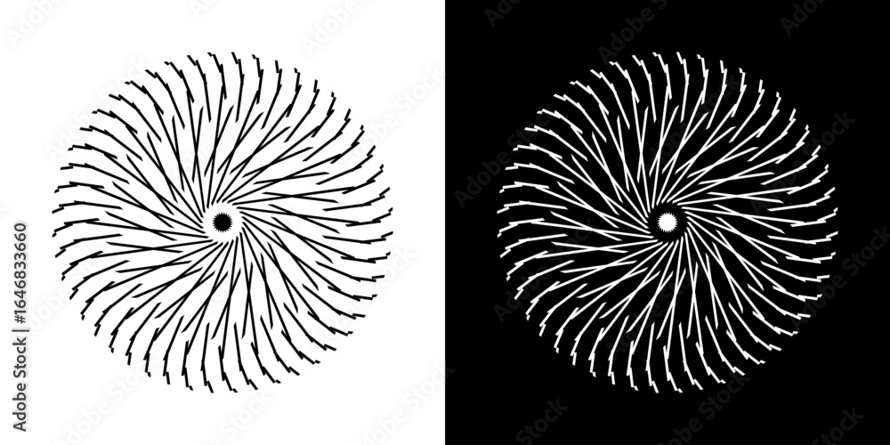 Poster Abstract background with abstract line pattern in circles. Spiral art design as a logo or icon. A black figure on a white background and the same white figure on a black side. Mandala design with line