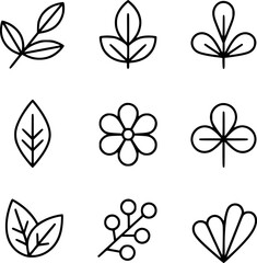 Obraz premium Botanical line art featuring leaves flowers and berries nature leaf