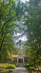 Fototapety na wymiar - Fototapeta24.pl