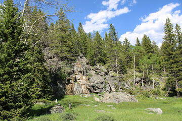 Rock Formations in Green, Grassy Field and Forest on Sourdough Road near Sourdough Creek off of...