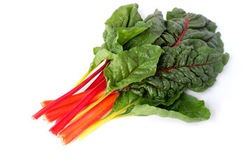 Yellow and red petioles and green leaves of chard