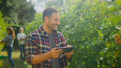Winemaker using digital tablet in vineyard during harvest
