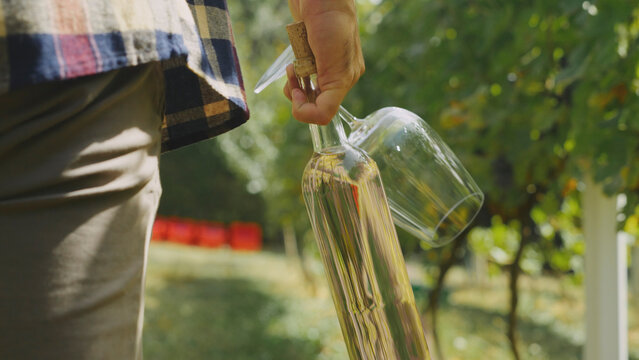 Winemaker carrying white wine bottle and glasses in vineyard