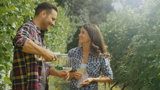 Winemakers pouring and tasting white wine in vineyard during sunny day - Powered by Adobe