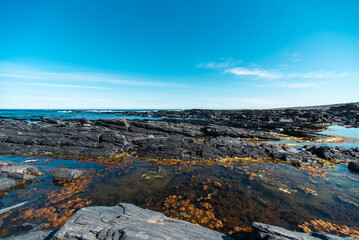 rocky shore of the Arctic Ocean without people