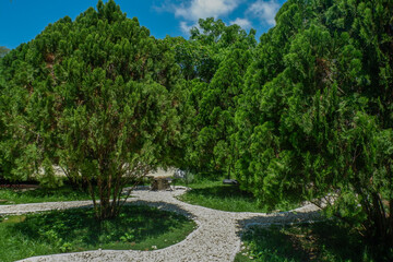 Obraz premium Garden landscape design with pathway in garden and footpath in picturesque summer park and staircase in backyard,Paving stones on floor in park,space for text.