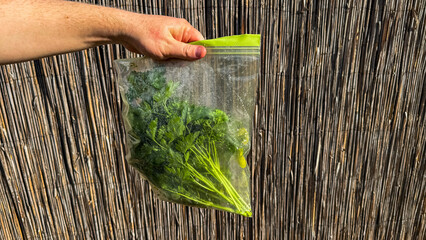 Fresh herbs packed in a mystical ziploc promise green magic, evoking Garden Day and quirky culinary...