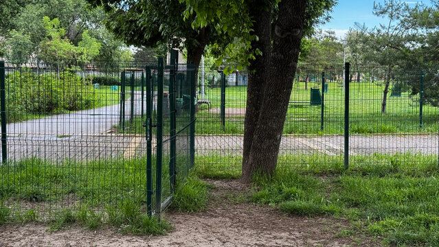 Mossy gate creaks open under verdant canopy, whispering tales of midsummer mystery and Arbor Day reflections, nature's labyrinth