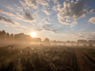 Golden morning mist harmoniously embracing wildflowers at sunrise.