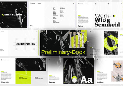 Preliminary Brand Guidelines Layout
