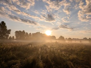 Golden morning mist harmoniously embracing wildflowers at sunrise.